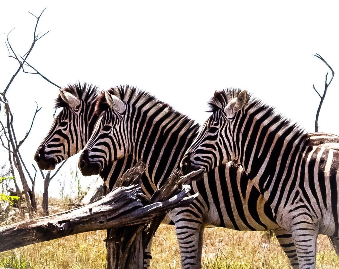 Muweti Bush Lodge Grietjie Game Reserve Luaran gambar