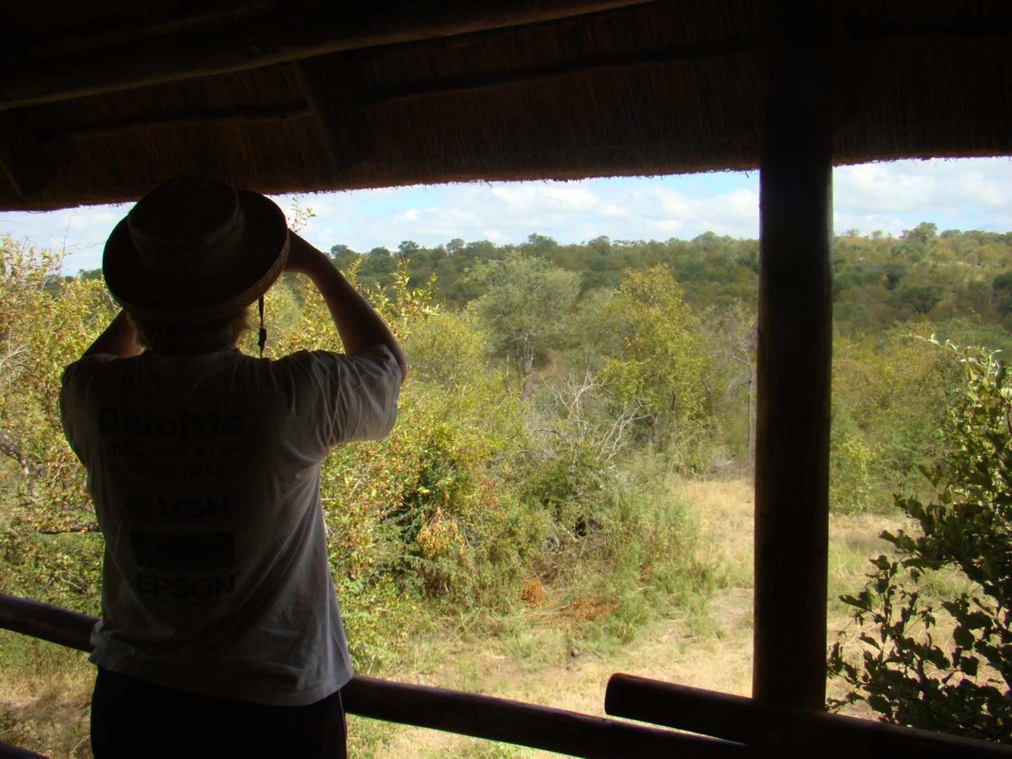 Muweti Bush Lodge Grietjie Game Reserve Bilik gambar