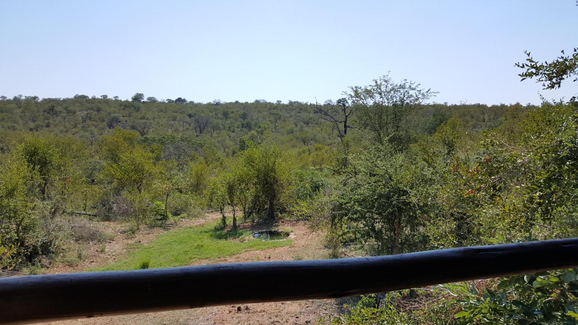 Muweti Bush Lodge Grietjie Game Reserve Bilik gambar