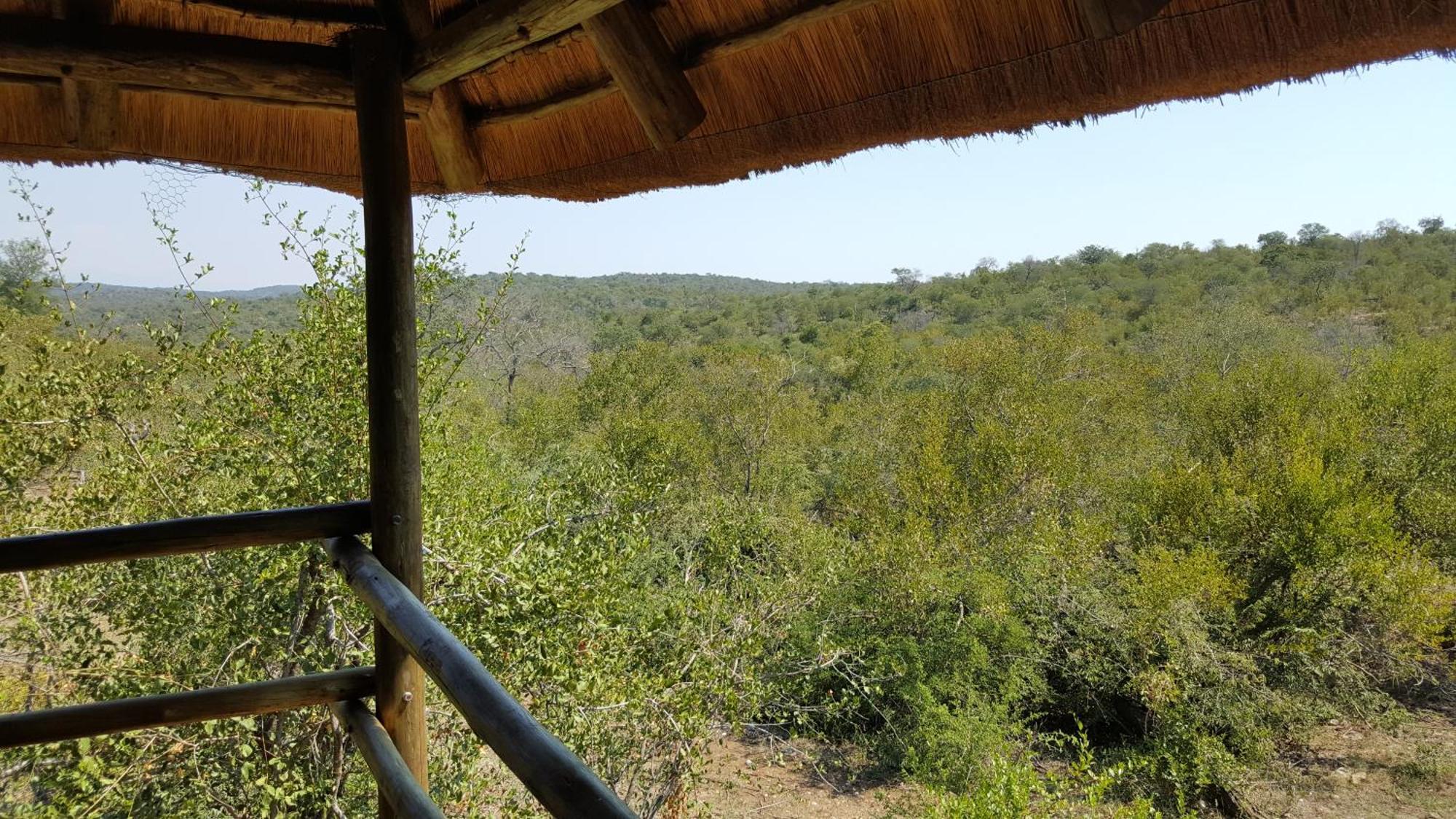 Muweti Bush Lodge Grietjie Game Reserve Bilik gambar