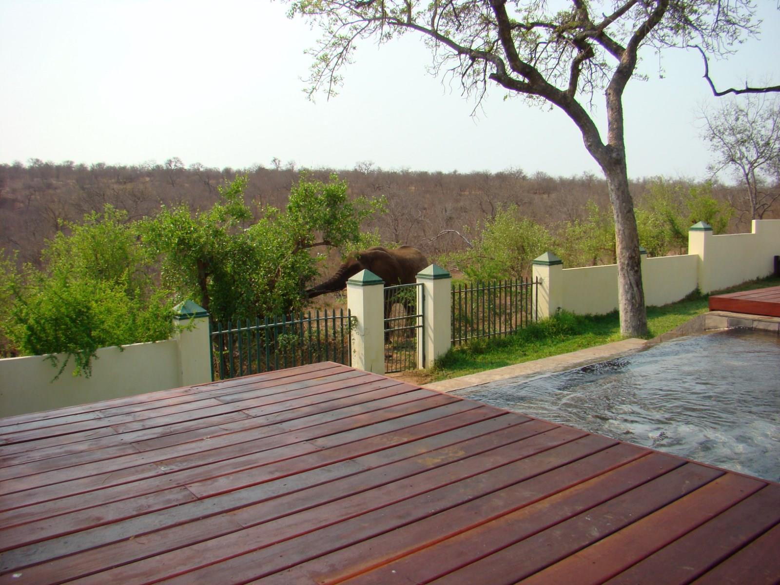 Muweti Bush Lodge Grietjie Game Reserve Luaran gambar